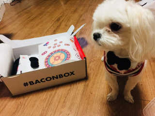 자기전님이 올린 리뷰 사진 3