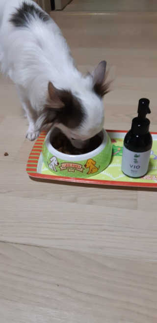 찡님이 올린 리뷰 사진 3