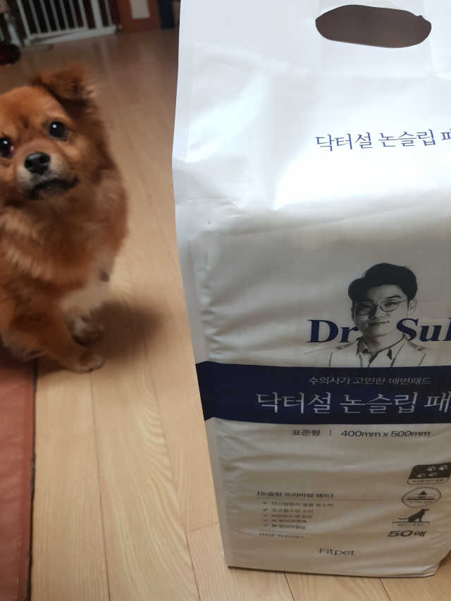 닥터설 논슬립 패드 리뷰 사진