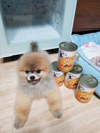 이엘리사님이 올린 리뷰 사진 2