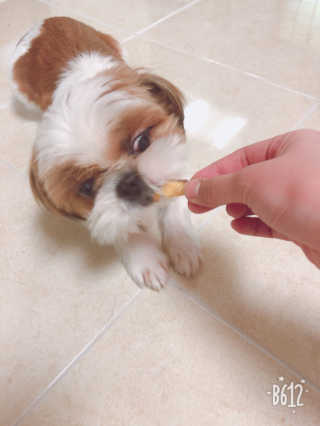 부언니님이 올린 리뷰 사진 1