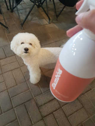 꾸꾸엄마님이 올린 리뷰 사진 1