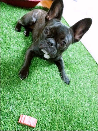 쩡님이 올린 리뷰 사진 2