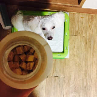 수야님이 올린 리뷰 사진 3