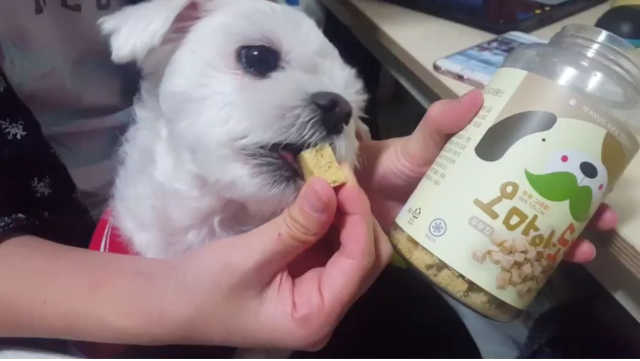 고단백 무첨가 동결건조 두부칩 리뷰 사진