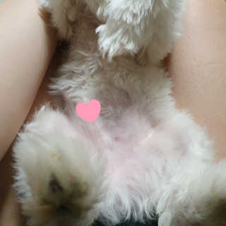숮이님이 올린 리뷰 사진 2