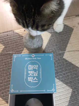 글라라5205님이 올린 리뷰 사진 1