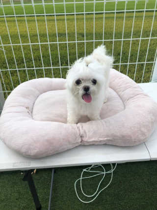 이다솜님이 올린 리뷰 사진 3