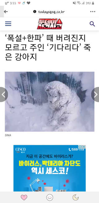 Ksa님이 올린 리뷰 사진 4