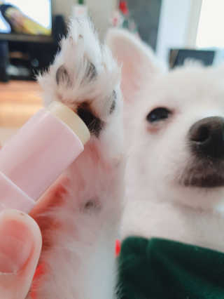 마시밀레 보드레밤 — 5점을 준 리뷰어가 2019년 1월 올린 사용 사진