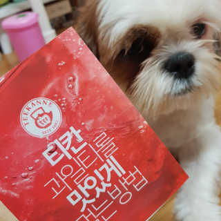 티칸 무설탕 아이스티 2종 쿨센세이션, 스위트 템테이션 — 5점을 준 리뷰어가 2019년 8월 올린 사용 사진