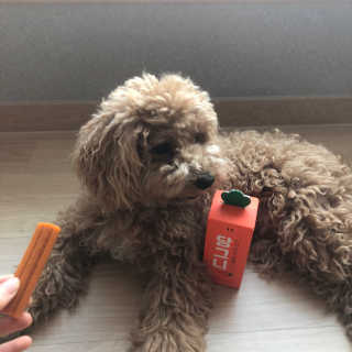 rhk1014님이 올린 리뷰 사진 2