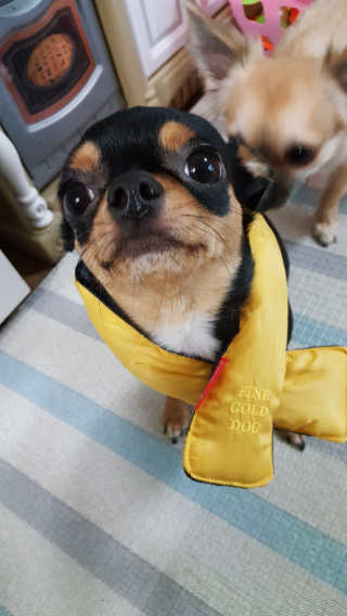 승아맘님이 올린 리뷰 사진 3