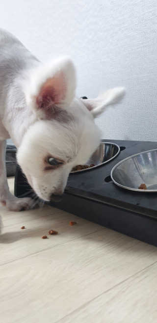 으콩님이 올린 리뷰 사진 2