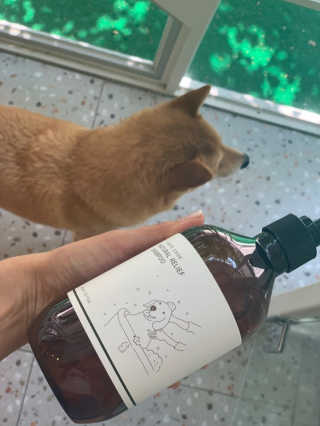 lala님이 올린 리뷰 사진 1