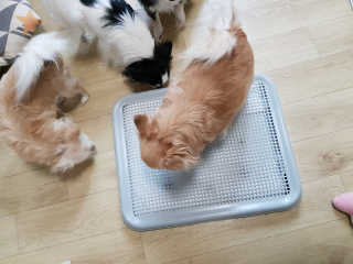 마이훈님이 올린 리뷰 사진 2
