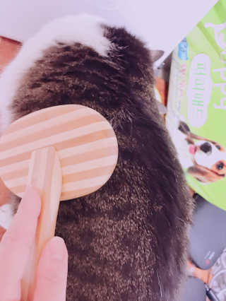 김화안님이 올린 리뷰 사진 3