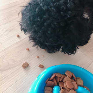 쩐다님이 올린 리뷰 사진 3