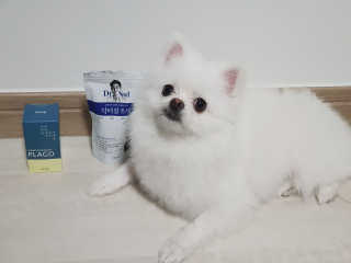 러블님이 올린 리뷰 사진 2