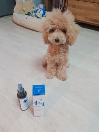 강아지스토리 포인원 모이스처 미스트 100ml — 5점을 준 리뷰어가 2018년 11월 올린 사용 사진