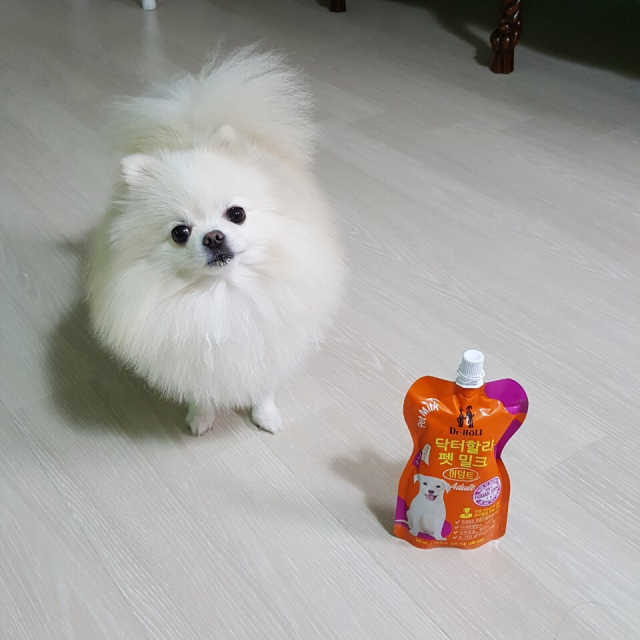 닥터할리펫밀크 8종 리뷰 사진