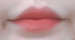 [블랙루즈] 에어 핏 벨벳 틴트3 택1+랜덤1 — 3.5점을 준 리뷰어가 2019년 3월 올린 사용 사진