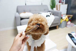 초코님이 올린 리뷰 사진 3