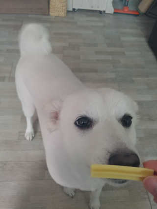서희석님이 올린 리뷰 사진 3