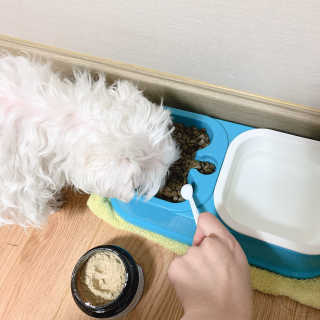 전설의효짱님이 올린 리뷰 사진 4