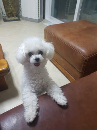 박혜님이 올린 리뷰 사진 2
