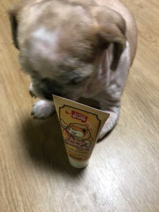 스마일뇽뇽님이 올린 리뷰 사진 1
