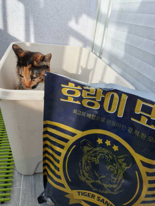 오나오나님이 올린 리뷰 사진 1