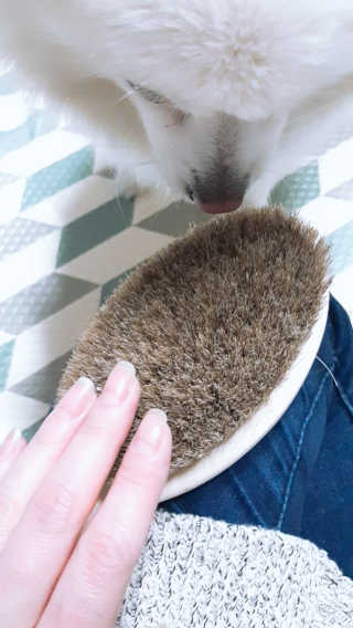 연보라님이 올린 리뷰 사진 3