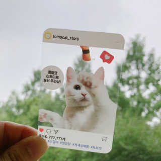토모님이 올린 리뷰 사진 3