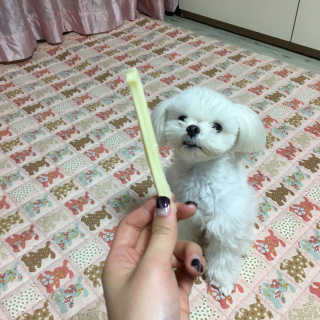 eunjiiiiii님이 올린 리뷰 사진 4