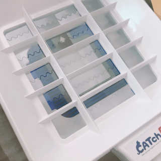 문세인님이 올린 리뷰 사진 2