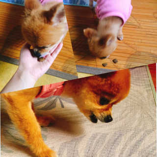soymilk님이 올린 리뷰 사진 3