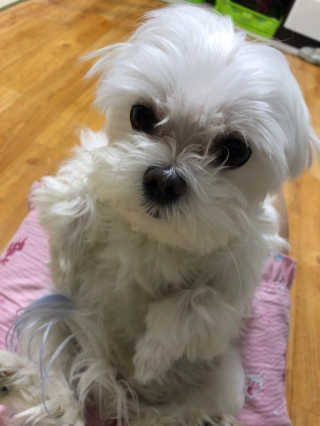 홍지윤님이 올린 리뷰 사진 2