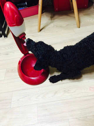 김란화님이 올린 리뷰 사진 4