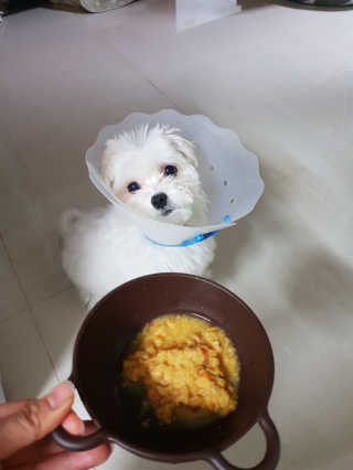 최두부님이 올린 리뷰 사진 2