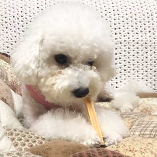 tjrdla님이 올린 리뷰 사진 2