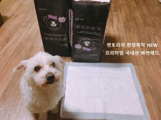 펫토리아 한장뚝딱 NEW 프리미엄 국내산 배변패드 — 5점을 준 리뷰어가 2019년 5월 올린 사용 사진
