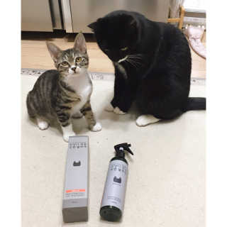 Eunhye님이 올린 리뷰 사진 3