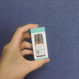 덤보님이 올린 리뷰 사진 4