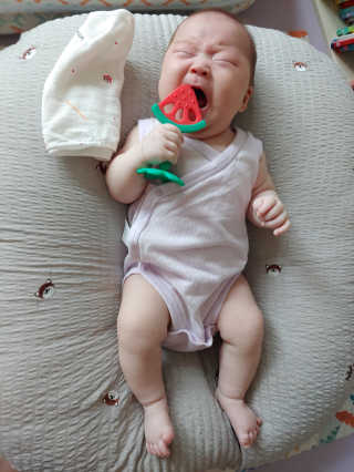 알맹맘님이 올린 리뷰 사진 2