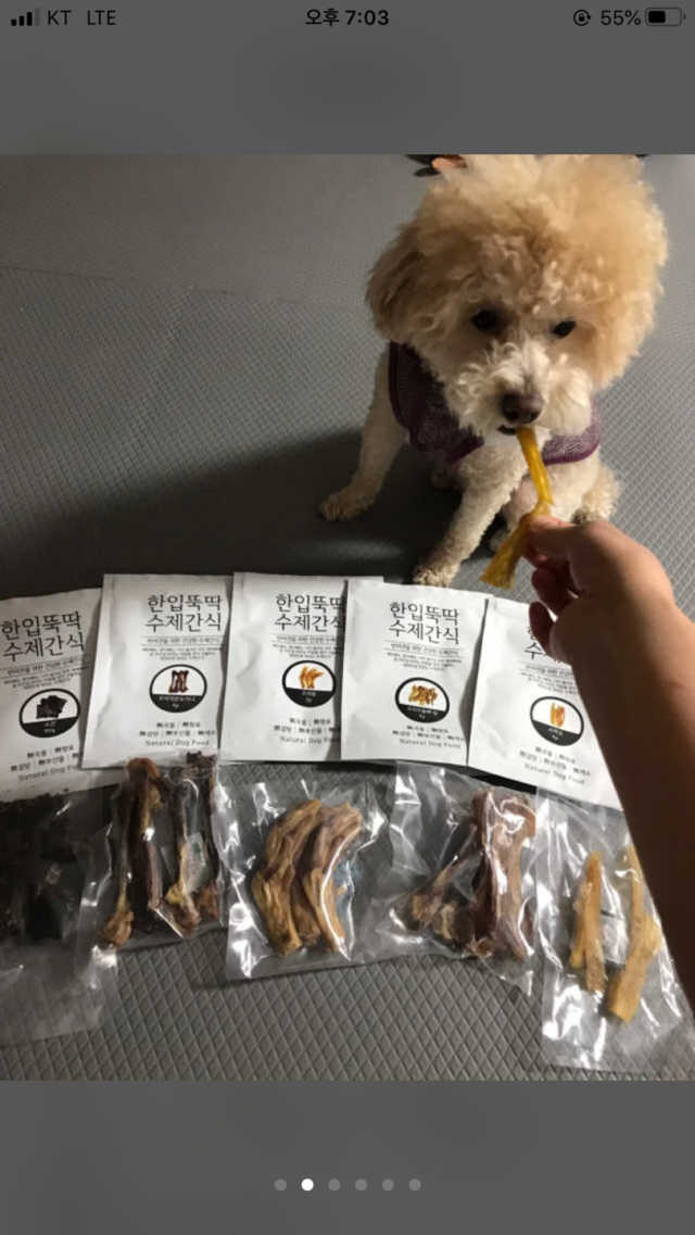 [펫토리아] 한입뚝딱 강아지 수제간식 BEST 5종 리뷰 사진