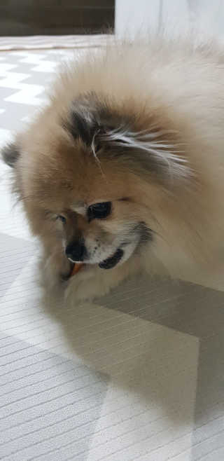 레고사줘님이 올린 리뷰 사진 1