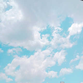 noname님이 올린 리뷰 사진 1