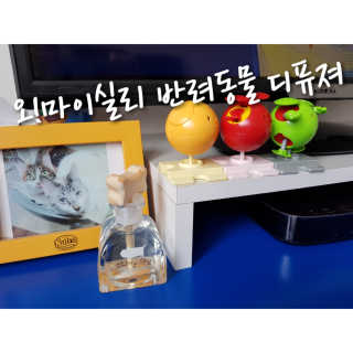 오!마이실리 오마이실리 반려동물 디퓨저 — 5점을 준 리뷰어가 2018년 7월 올린 사용 사진