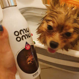 은선이짱님이 올린 리뷰 사진 2
